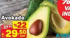 AVOKADO ADET AVOKADO ADET
